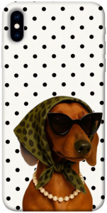 Чехол Swag для iPhone XS