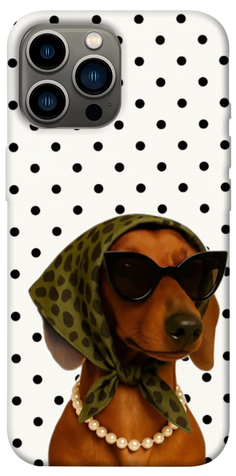 Чехол Swag для iPhone 13 Pro Max