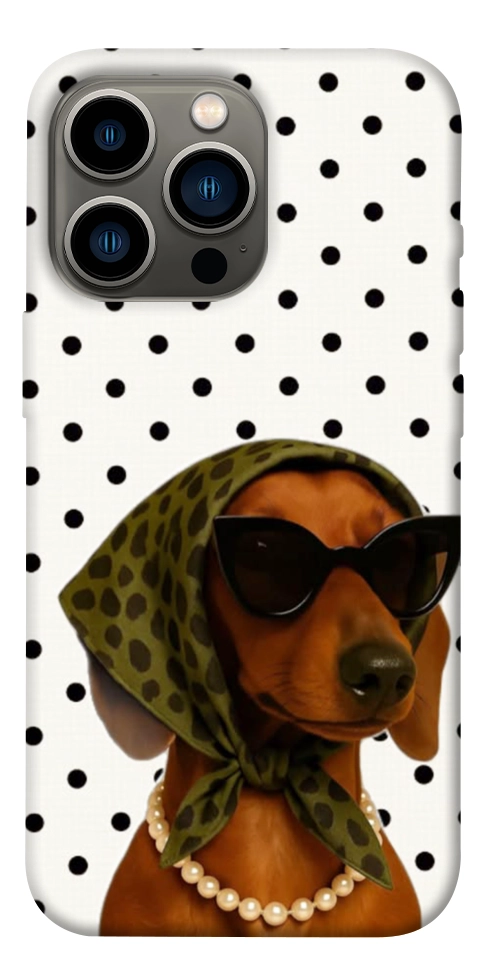 Чехол Swag для iPhone 13 Pro