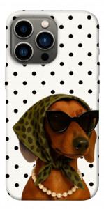 Чехол Swag для iPhone 13 Pro