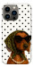 Чехол Swag для iPhone 13 Pro