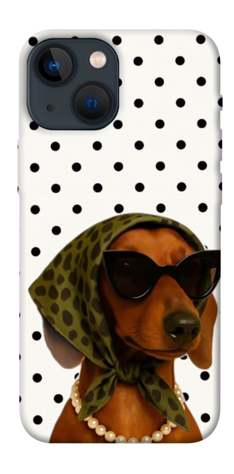 Чохол Swag для iPhone 13 mini