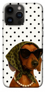 Чехол Swag для iPhone 14 Pro Max