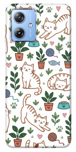 Чехол Cats pattern для Motorola Moto G84