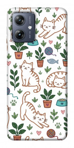 Чохол Cats pattern для Motorola Moto G54