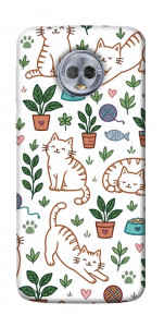 Чохол Cats pattern для Motorola Moto G6 Plus