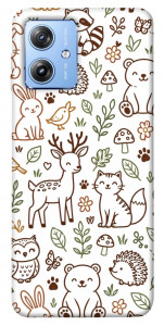 Чехол Wildlife pattern для Motorola Moto G84