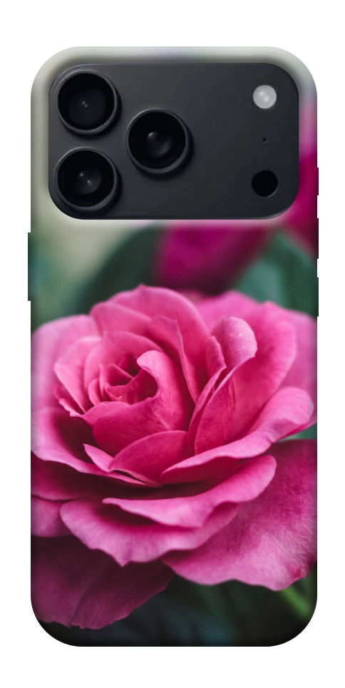 Чохол Троянда у саду для TECNO Camon 16 SE