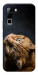 Чохол Рудий кіт для Infinix Hot 70