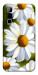 Чохол Ароматна ромашка для Infinix Hot 70