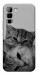 Чохол Grey cats для Infinix Hot 70