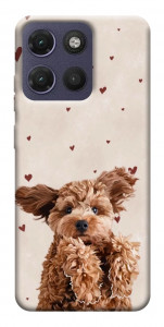 Чехол Сute doggy для Motorola Moto G17