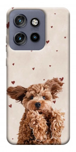Чехол Сute doggy для Motorola Edge 60 Neo