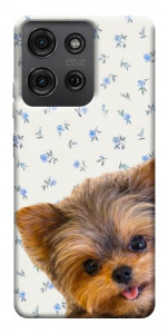 Чехол Cute Yorkie для Motorola Moto G75 5G
