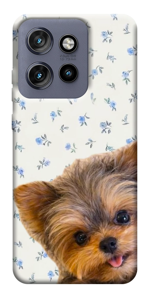 Чохол Cute Yorkie для Motorola Edge 50 Neo