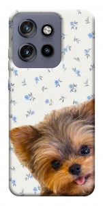 Чохол Cute Yorkie для Motorola Edge 50 Neo
