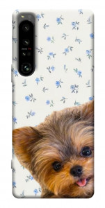 Чехол Cute Yorkie для Sony Xperia 1 IV