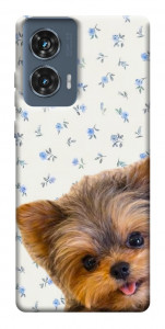 Чехол Cute Yorkie для Motorola Edge 50 Fusion