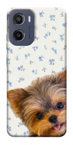 Чехол Cute Yorkie для Motorola Moto G05