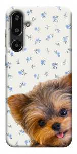 Чохол Cute Yorkie для Galaxy F16 5G