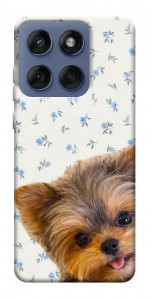 Чехол Cute Yorkie для Motorola Edge 60 Fusion
