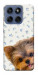 Чехол Cute Yorkie для Motorola Edge 60 Fusion
