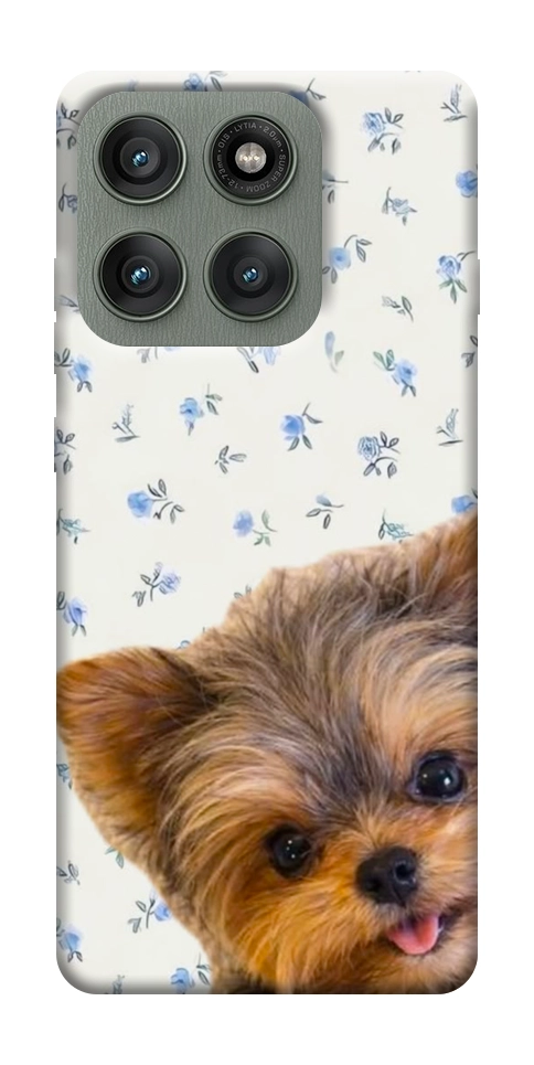 Чохол Cute Yorkie для Motorola Edge 60 Pro