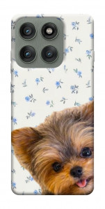 Чехол Cute Yorkie для Motorola Edge 60 Pro