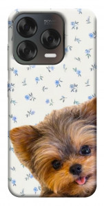 Чохол Cute Yorkie для ZTE Nubia V70 Design
