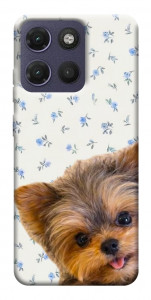 Чехол Cute Yorkie для Motorola Moto G17