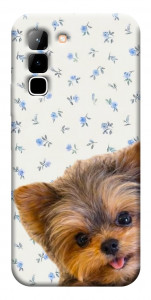 Чохол Cute Yorkie для Infinix Hot 70