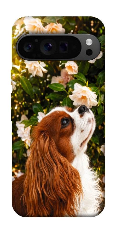 Чохол Flower spaniel для Google Pixel 9 Pro