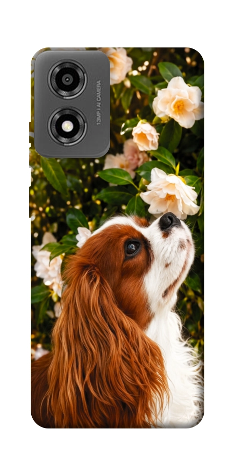Чохол Flower spaniel для Motorola Moto E14