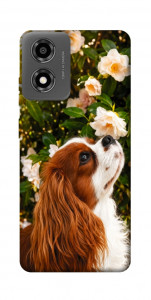 Чехол Flower spaniel для Motorola Moto E14
