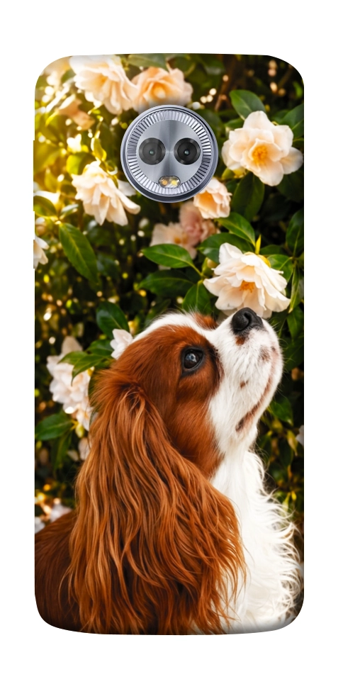Чехол Flower spaniel для Motorola Moto G6 Plus