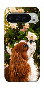 Чехол Flower spaniel для Google Pixel 9 Pro XL