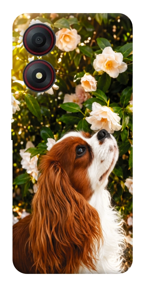 Чехол Flower spaniel для ZTE Blade A34 4G