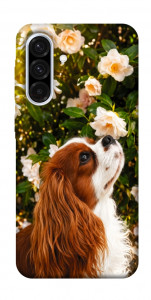 Чехол Flower spaniel для Galaxy A36 5G