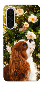 Чехол Flower spaniel для Galaxy A56 5G