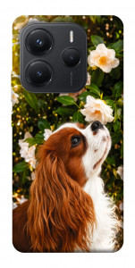Чехол Flower spaniel для Xiaomi Redmi Note 14 5G