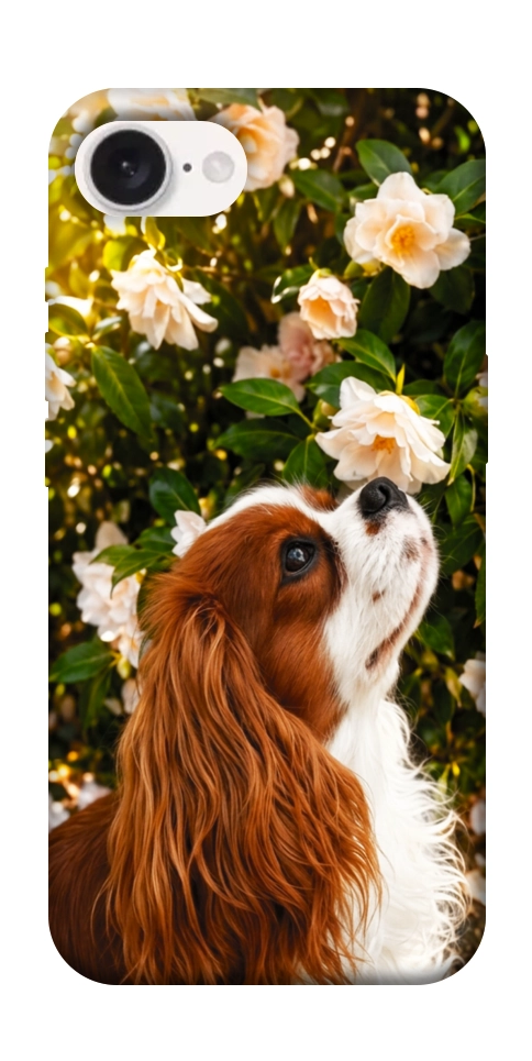 Чохол Flower spaniel для iPhone 16e