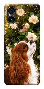 Чехол Flower spaniel для Sony Xperia 5 V