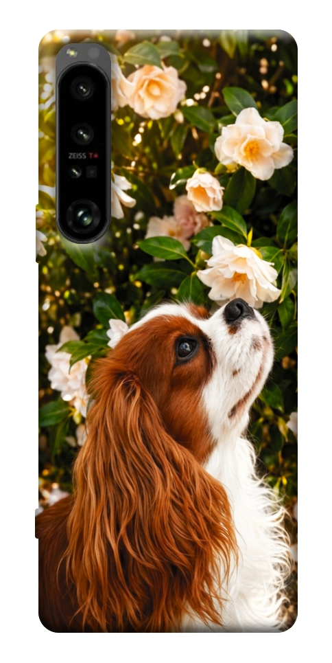 Чехол Flower spaniel для Sony Xperia 1 IV