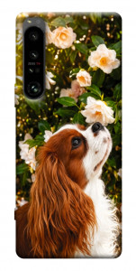 Чехол Flower spaniel для Sony Xperia 1 IV
