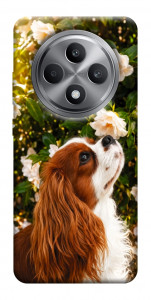 Чехол Flower spaniel для Oppo Reno 12 F 4G