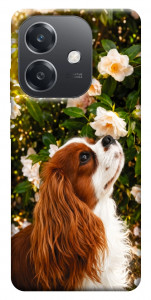 Чохол Flower spaniel для Oppo A40m