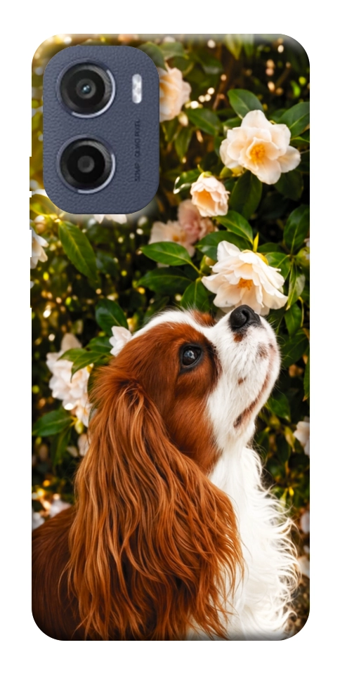 Чехол Flower spaniel для Motorola Moto G05