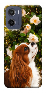Чехол Flower spaniel для Motorola Moto E15