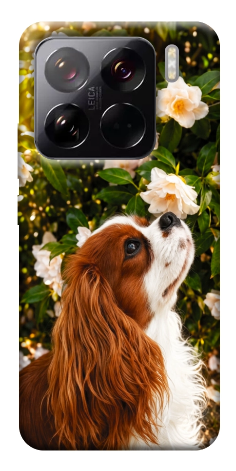 Чехол Flower spaniel для Xiaomi 15 Pro