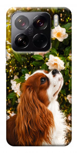 Чехол Flower spaniel для Xiaomi 15 Pro